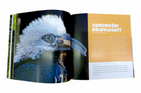 Publikace Zoborožci v Zoo Zlín
