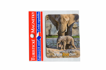 Magnetka zoo slon s mládětem