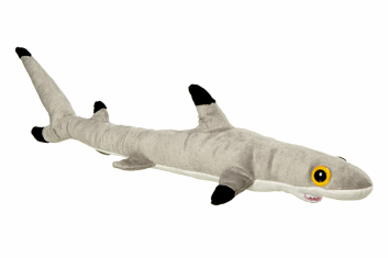 Plyšový žralok šedočerný