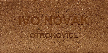 Dávám lvům novou šanci - cihlička 20x10 cm