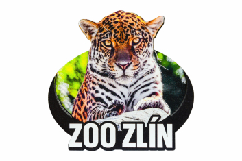 Dřevěná magnetka zoo - různé motivy