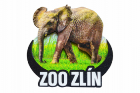 Dřevěná magnetka zoo - různé motivy