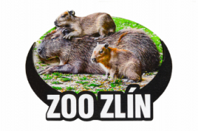 Dřevěná magnetka zoo - různé motivy