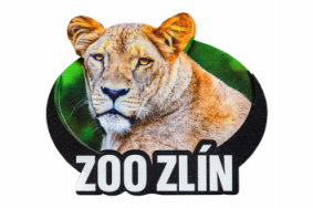 Dřevěná magnetka zoo - různé motivy