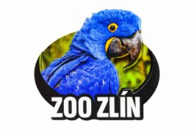 Dřevěná magnetka zoo - různé motivy