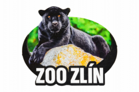 Dřevěná magnetka zoo - různé motivy