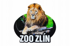 Dřevěná magnetka zoo - různé motivy