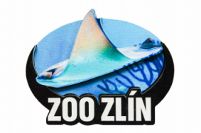 Dřevěná magnetka zoo - různé motivy
