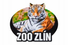 Dřevěná magnetka zoo - různé motivy