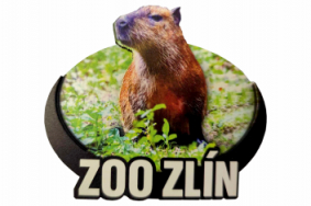 Dřevěná magnetka zoo - různé motivy
