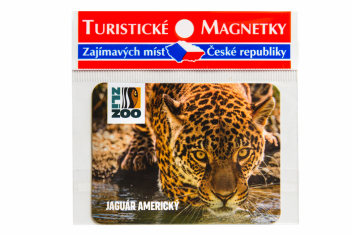 Magnetka zoo jaguár Yuna