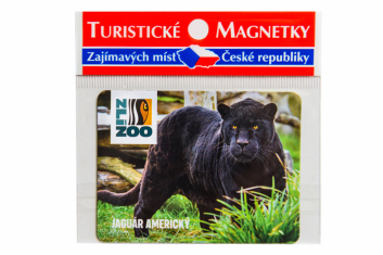 Magnetka zoo jaguár Akabo