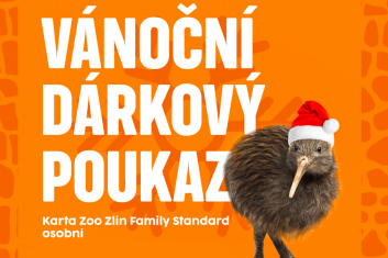 DP Karta Family STANDARD osobní
