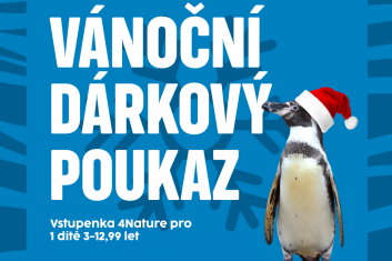 DP vstupenka 4NATURE dítě 3-13 let