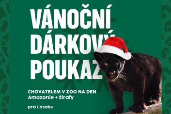 Chovatelem na den: Amazonie+žirafy, 1 osoba