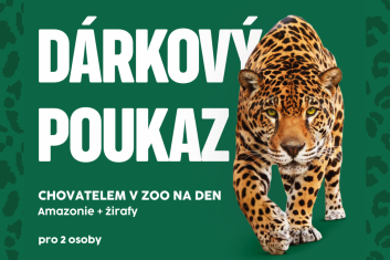 Chovatelem na den: Amazonie+žirafy, 2 osoby