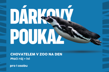 Chovatelem na den: Ptačí ráj+lvi, 1 osoba