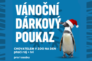 Chovatelem na den: Ptačí ráj+lvi, 1 osoba