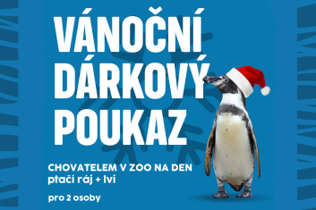 Chovatelem na den: Ptačí ráj+lvi, 2 osoby