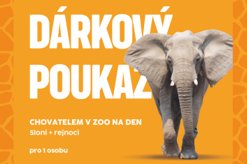 Chovatelem na den: Sloni+rejnoci, 1 osoba