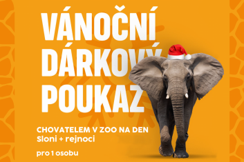 Chovatelem na den: Sloni+rejnoci, 1 osoba