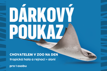 Chovatel: trop.hala a rejnoci+sloni, 1 osoba