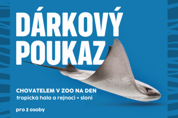 Chovatel: trop.hala a rejnoci+sloni, 2 osoby