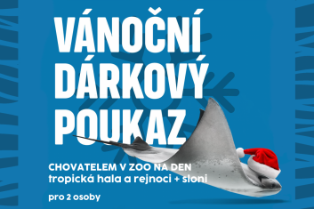 Chovatel: trop.hala a rejnoci+sloni, 2 osoby