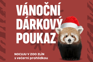 Nocuju v zoo s večerní prohlídkou areálu