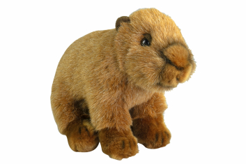 Plyšová kapybara 20 cm