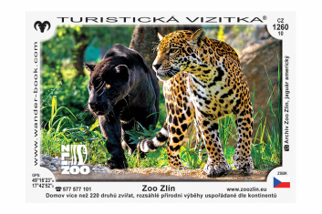 Turistická vizitka zoo - jaguáři