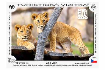 Turistická vizitka zoo - lvíčata