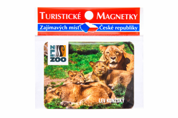 Magnetka zoo lvice a lvíčata