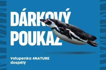 DP vstupenka 4NATURE dospělý