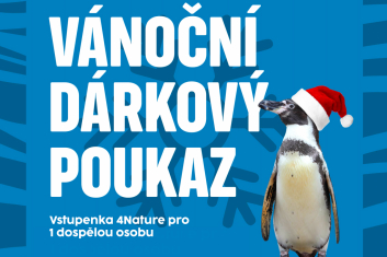 DP vstupenka 4NATURE dospělý
