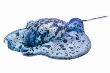 Plyšový rejnok modrý 55 cm