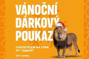 Chovatelem na den: lvi+jaguáři, 1 osoba