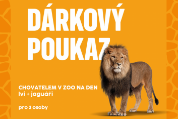 Chovatelem na den: lvi+jaguáři, 2 osoby