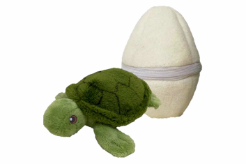 Mořská želva ve vejci