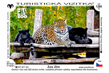 Turistická vizitka jaguáří rodina