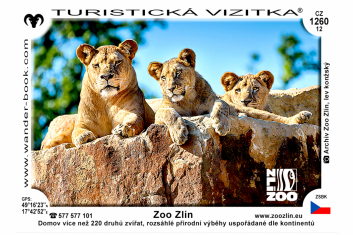 Turistická vizitka lví rodina