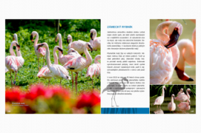 Průvodce Zoo Zlín 2026