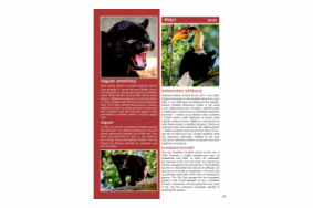 Výroční zpráva Zoo Zlín 2025