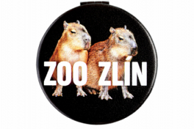 Zrcátko černé Zoo Zlín