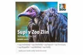 Publikace Supi v Zoo Zlín