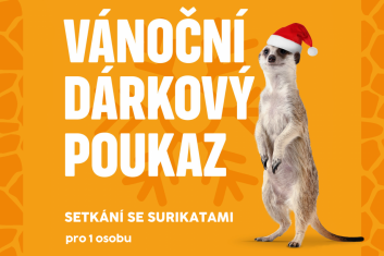 Setkání se surikatami 1 osoba