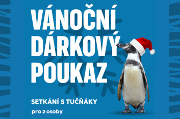 Setkání s tučňáky 2 osoby