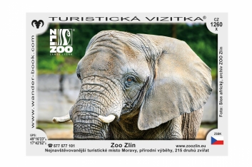 Turistická vizitka zoo - slon
