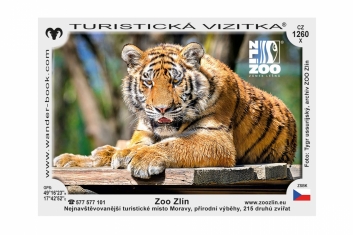 Turistická vizitka zoo - tygr