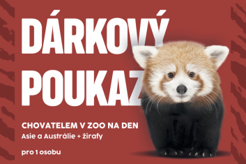 Chovatelem na den: Asie a Austrálie+žirafy, 1 osoba